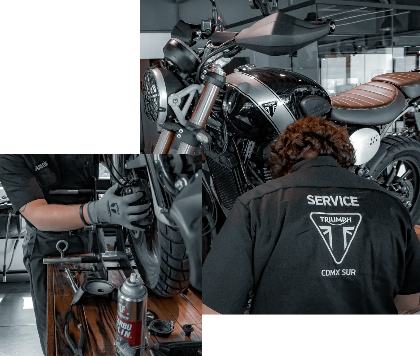 Taller Triumph Cuernavaca