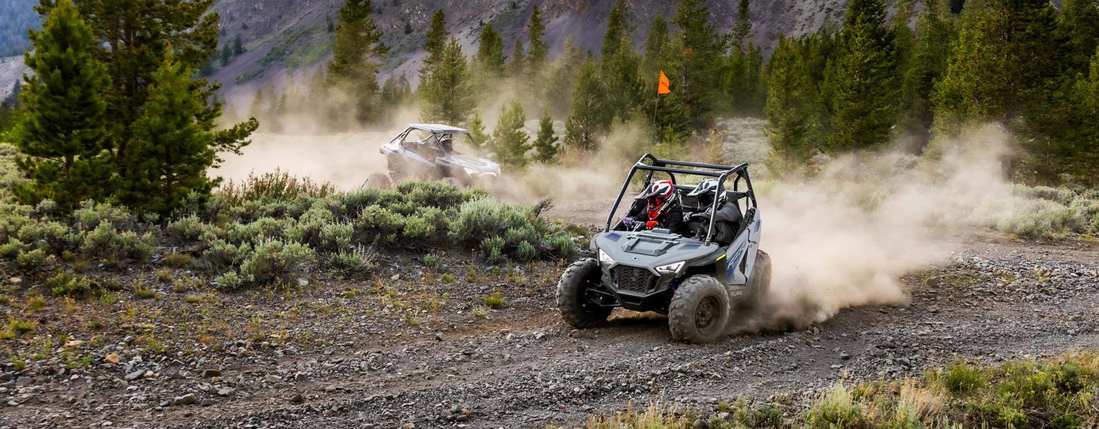 RZR 200 EFI
